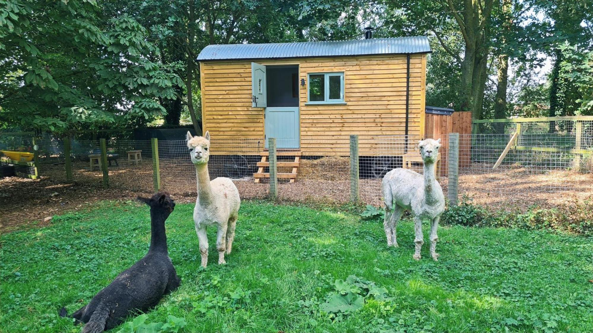 Horsley Hale Farm Glamping Ely Exterior photo